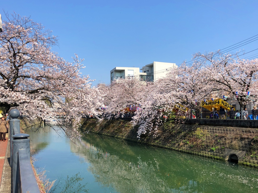 f:id:miwa3k:20180407131812j:plain f:id:miwa3k:20180407131812j:plain