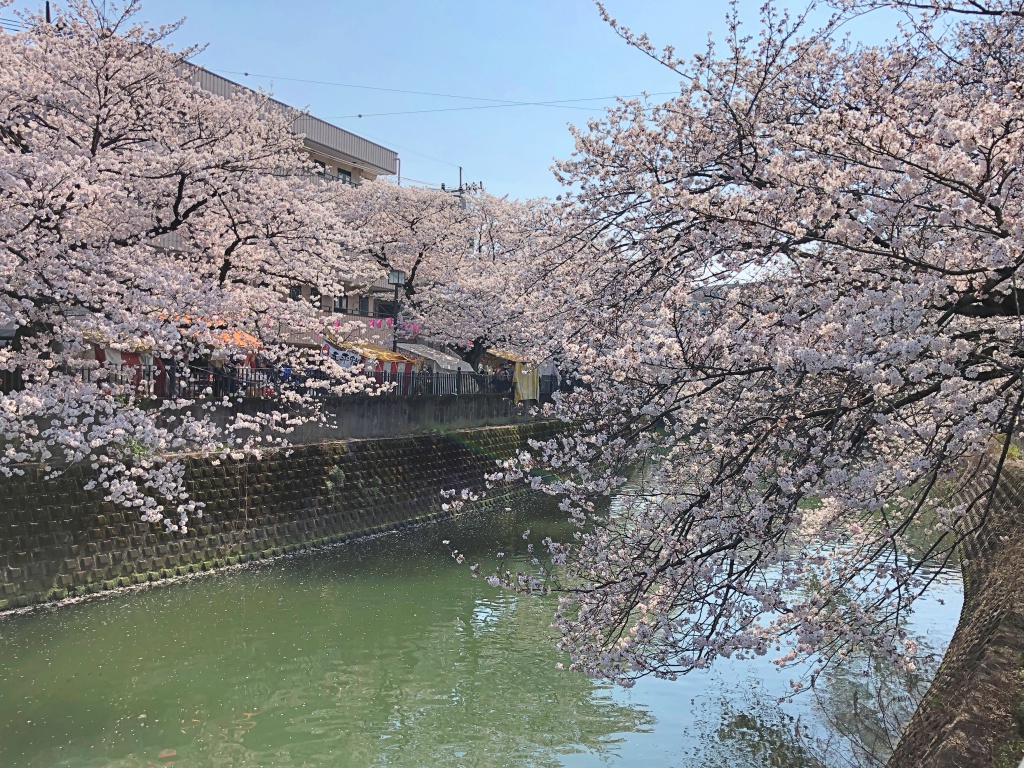 f:id:miwa3k:20180407131814j:plain f:id:miwa3k:20180407131814j:plain