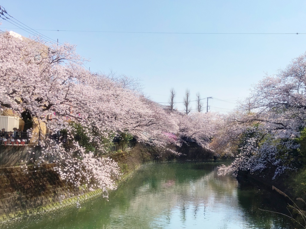 f:id:miwa3k:20180407131816j:plain f:id:miwa3k:20180407131816j:plain