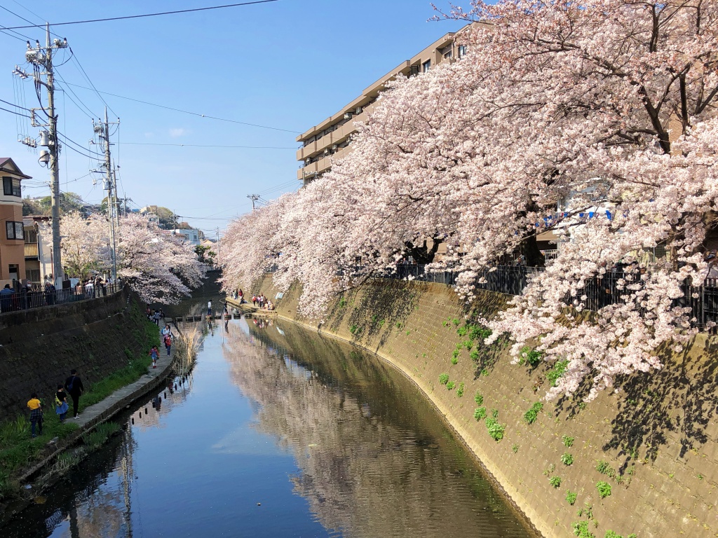 f:id:miwa3k:20180407131817j:plain f:id:miwa3k:20180407131817j:plain
