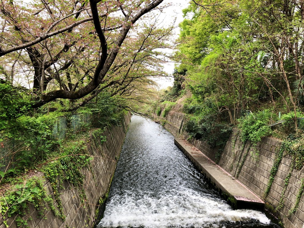 f:id:miwa3k:20180414111308j:plain