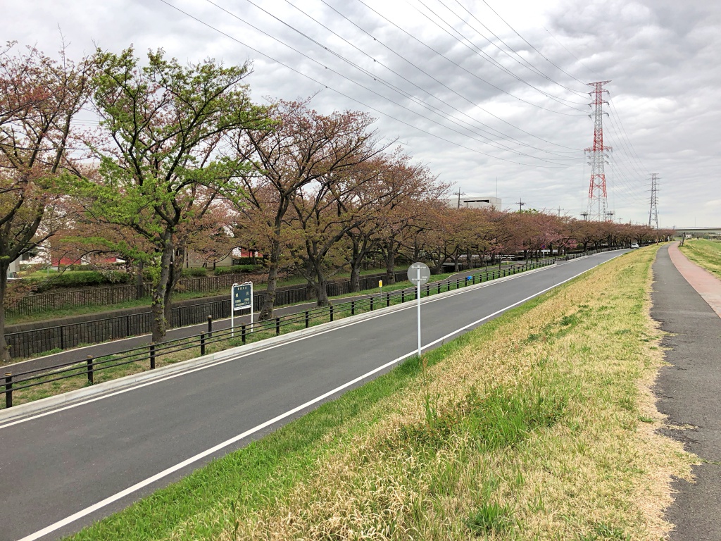 f:id:miwa3k:20180414111311j:plain