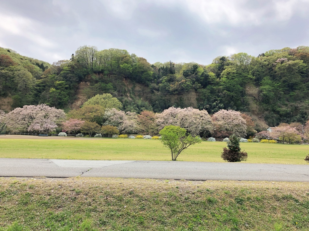 f:id:miwa3k:20180414111326j:plain