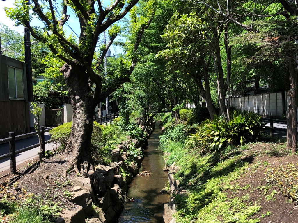 f:id:miwa3k:20180508155545j:plain
