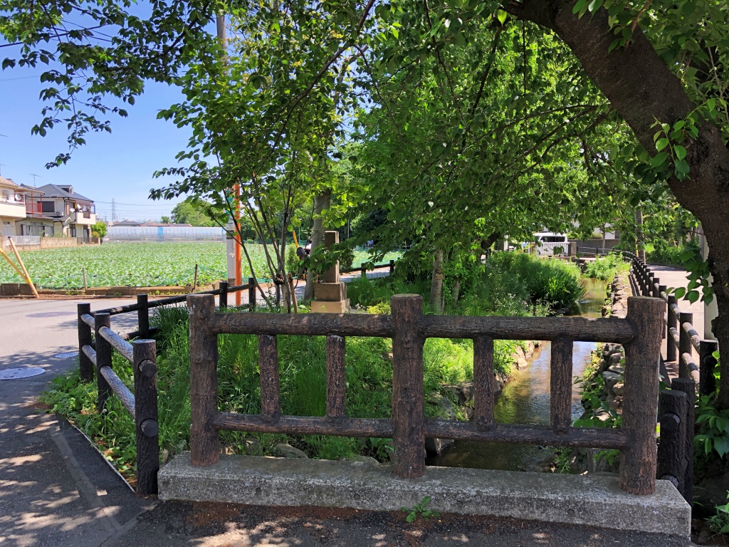 f:id:miwa3k:20180508155546j:plain