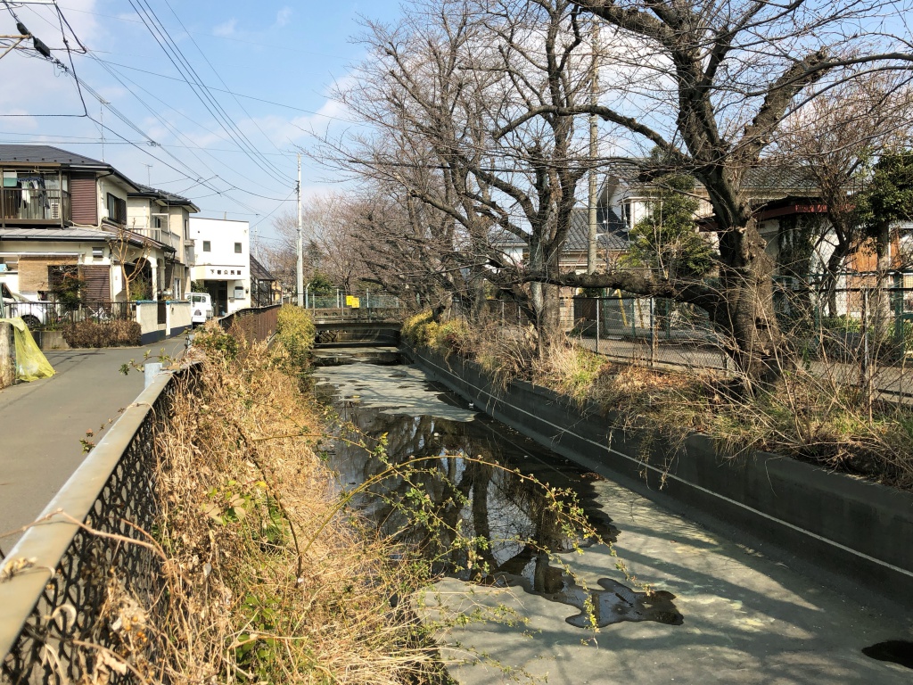 f:id:miwa3k:20180514123809j:plain f:id:miwa3k:20180514123809j:plain