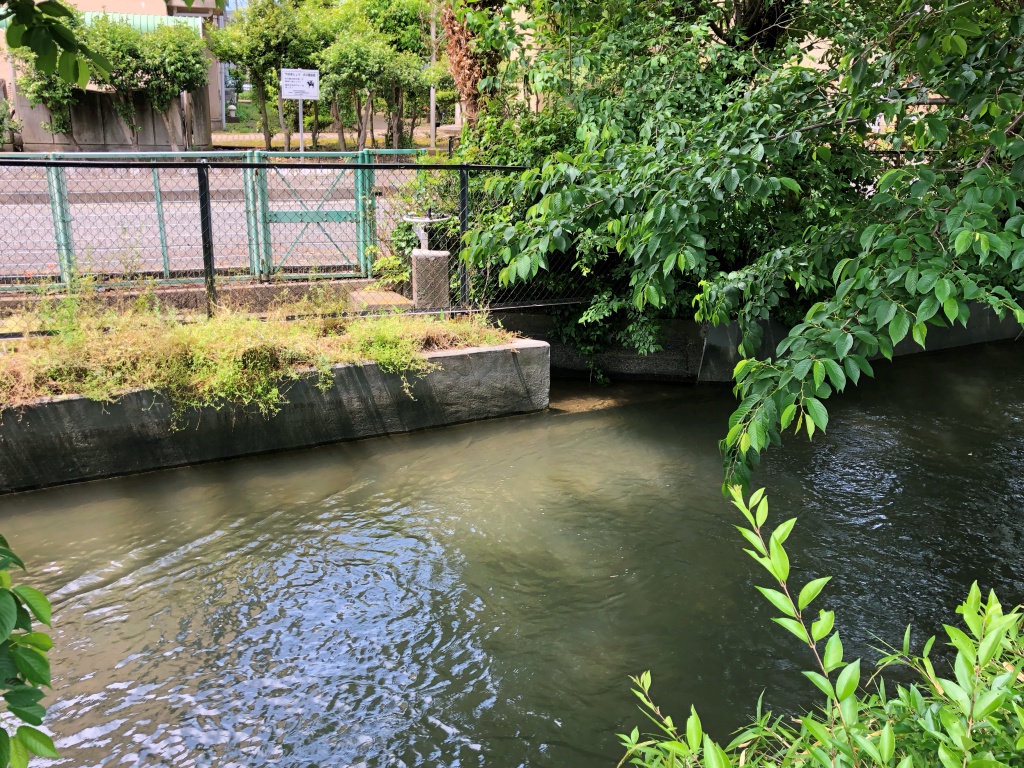 f:id:miwa3k:20180514123811j:plain f:id:miwa3k:20180514123811j:plain