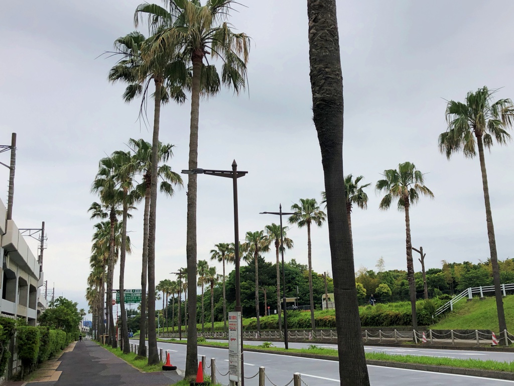 f:id:miwa3k:20180531173444j:plain f:id:miwa3k:20180531173444j:plain