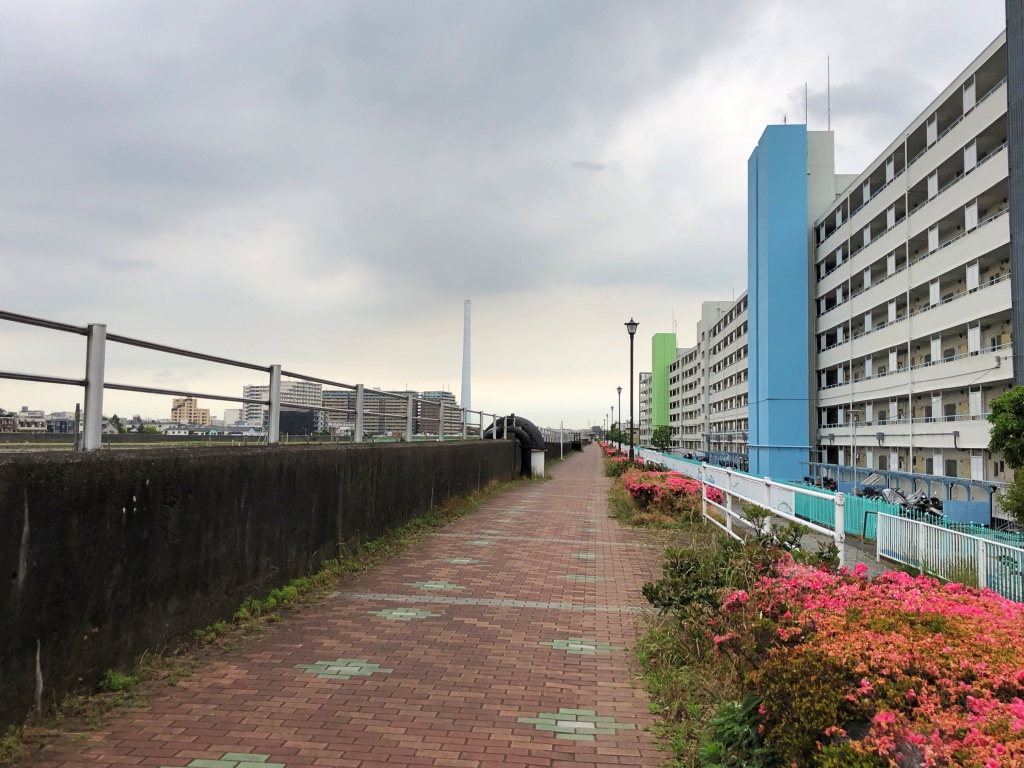 f:id:miwa3k:20180531174112j:plain f:id:miwa3k:20180531174112j:plain