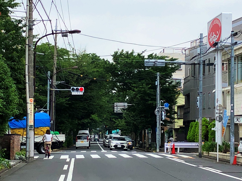 f:id:miwa3k:20180618152557j:plain