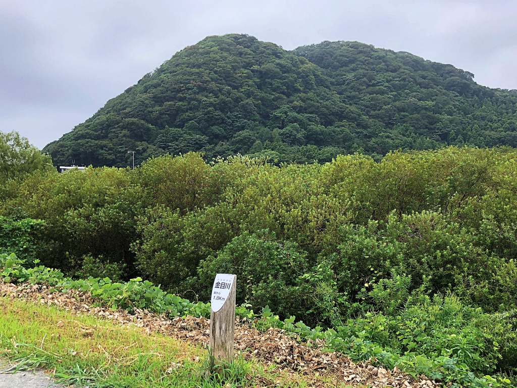 f:id:miwa3k:20180905165509j:plain