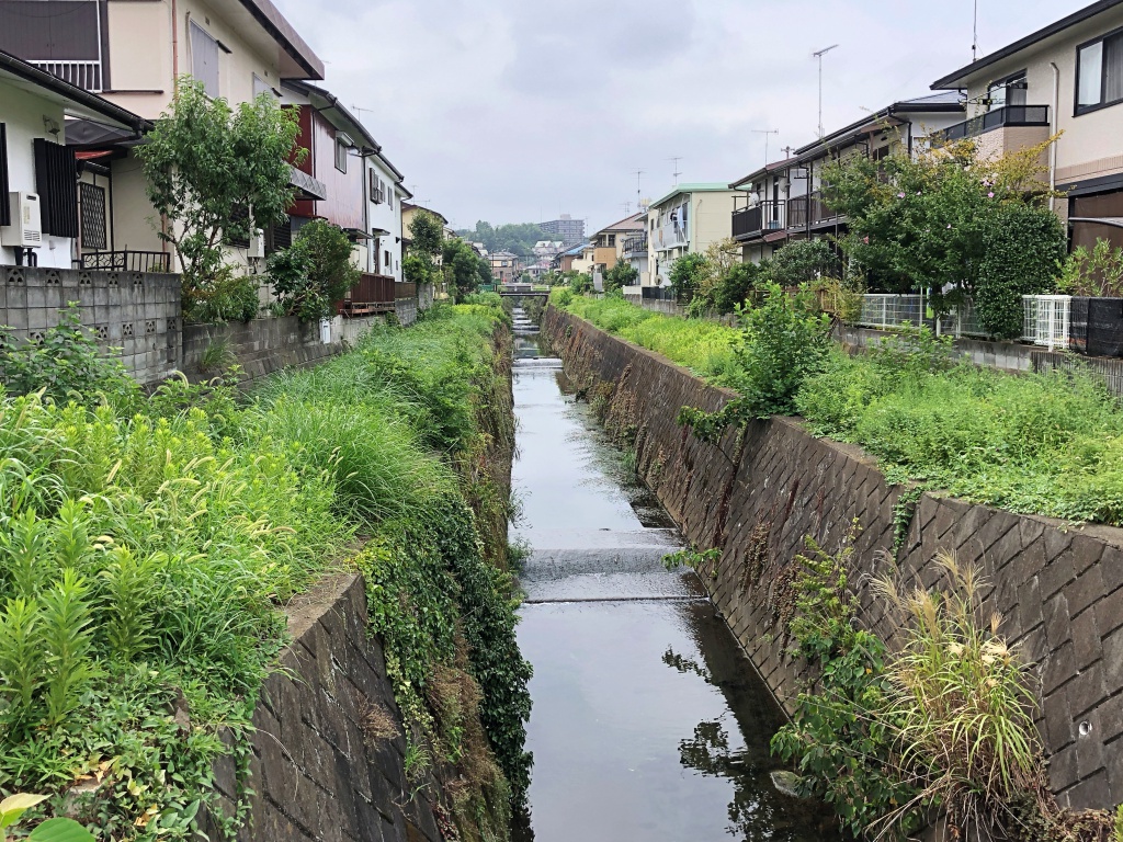 f:id:miwa3k:20180905165526j:plain