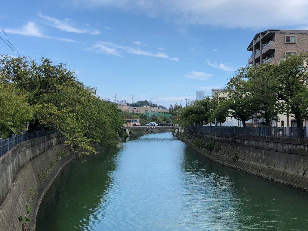 大岡川を歩く 横浜みなとみらいから遡って源流まで 散歩の途中