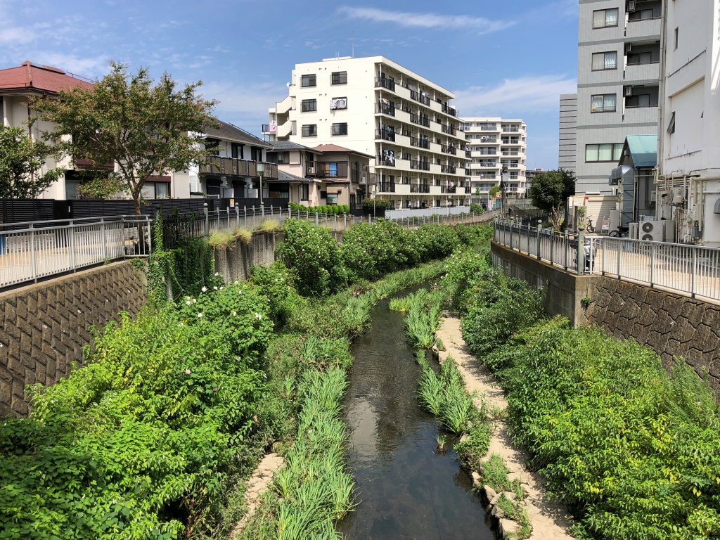 f:id:miwa3k:20180915130317j:plain