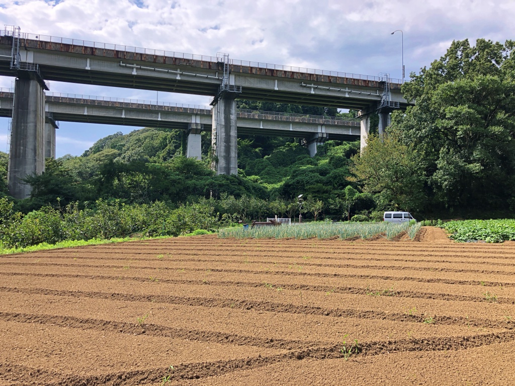 f:id:miwa3k:20180915135519j:plain