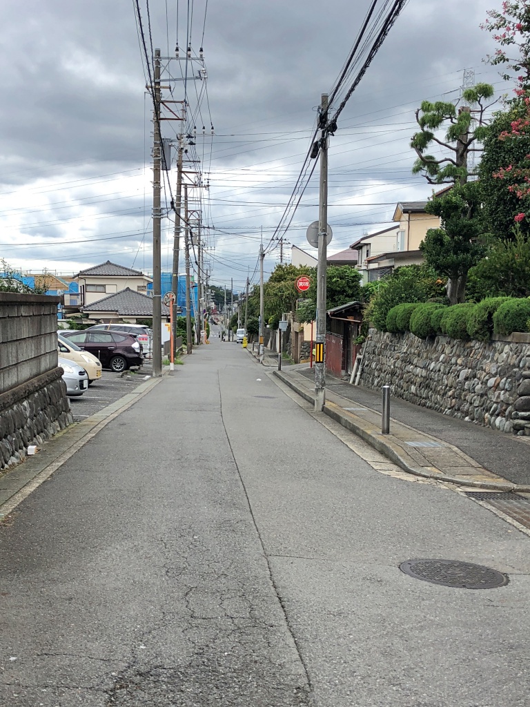 f:id:miwa3k:20180924120519j:plain f:id:miwa3k:20180924120519j:plain