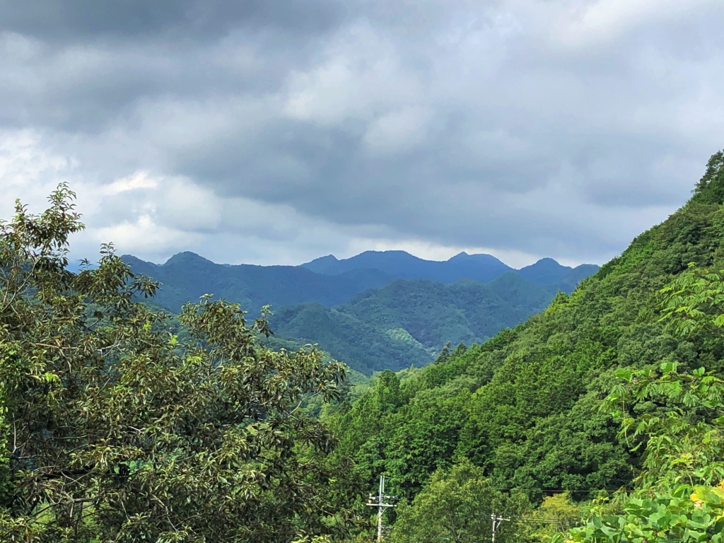 f:id:miwa3k:20181001191416j:plain