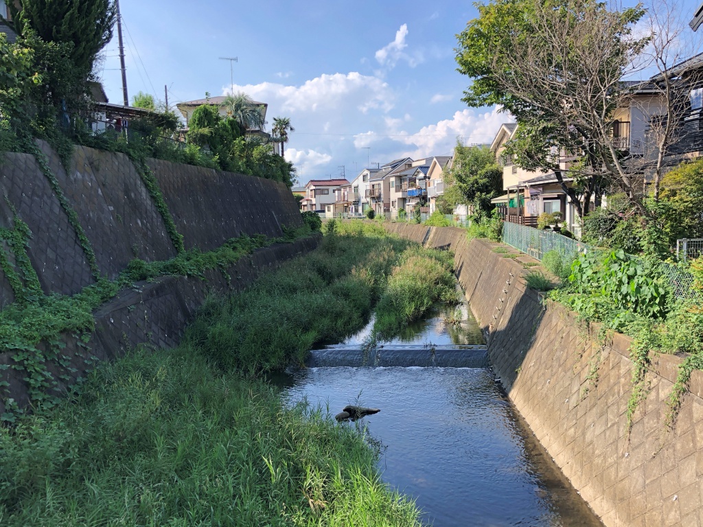 f:id:miwa3k:20181006170751j:plain