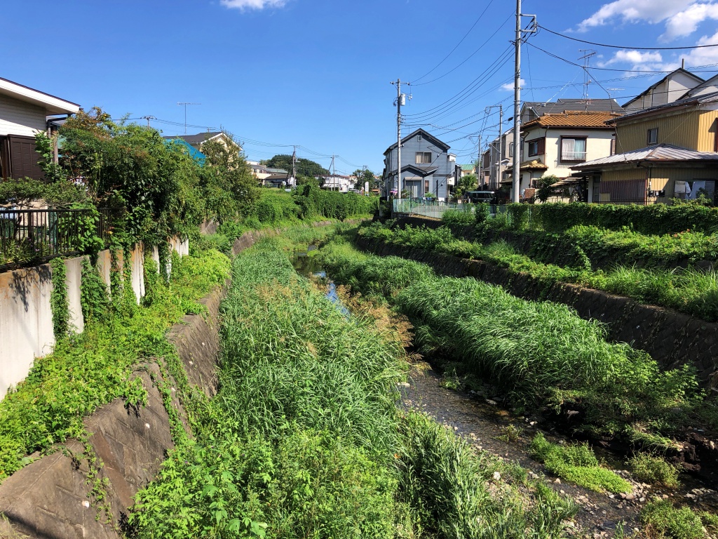 f:id:miwa3k:20181006170756j:plain
