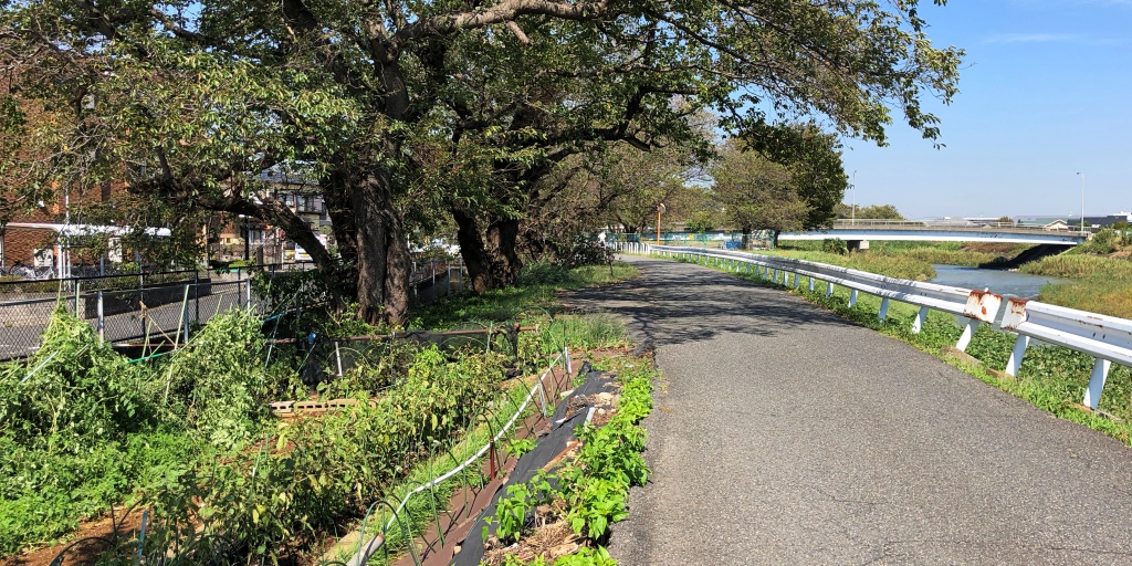 f:id:miwa3k:20181012182830j:plain