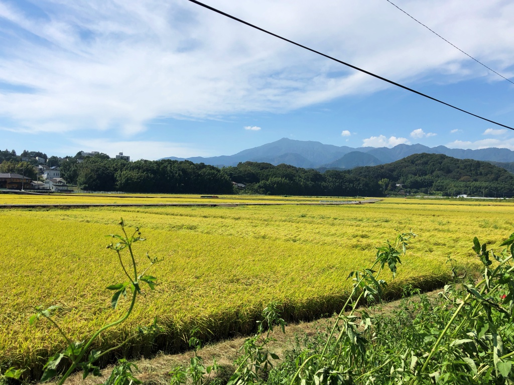 f:id:miwa3k:20181012182834j:plain