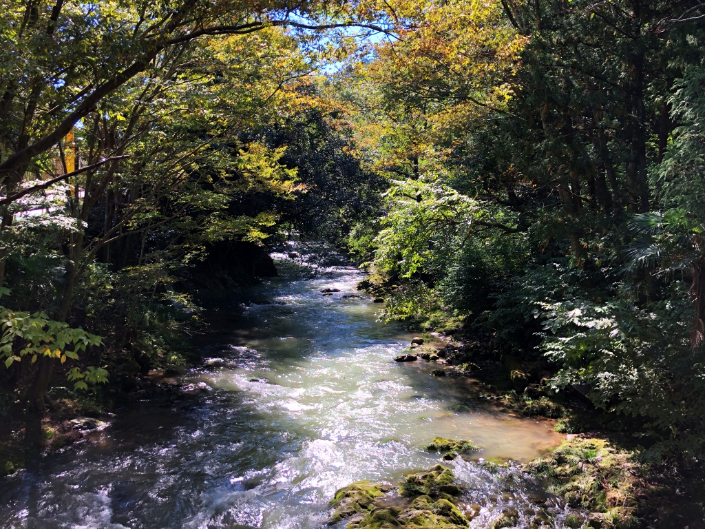 f:id:miwa3k:20181012182843j:plain