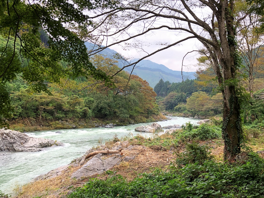 f:id:miwa3k:20181017112508j:plain