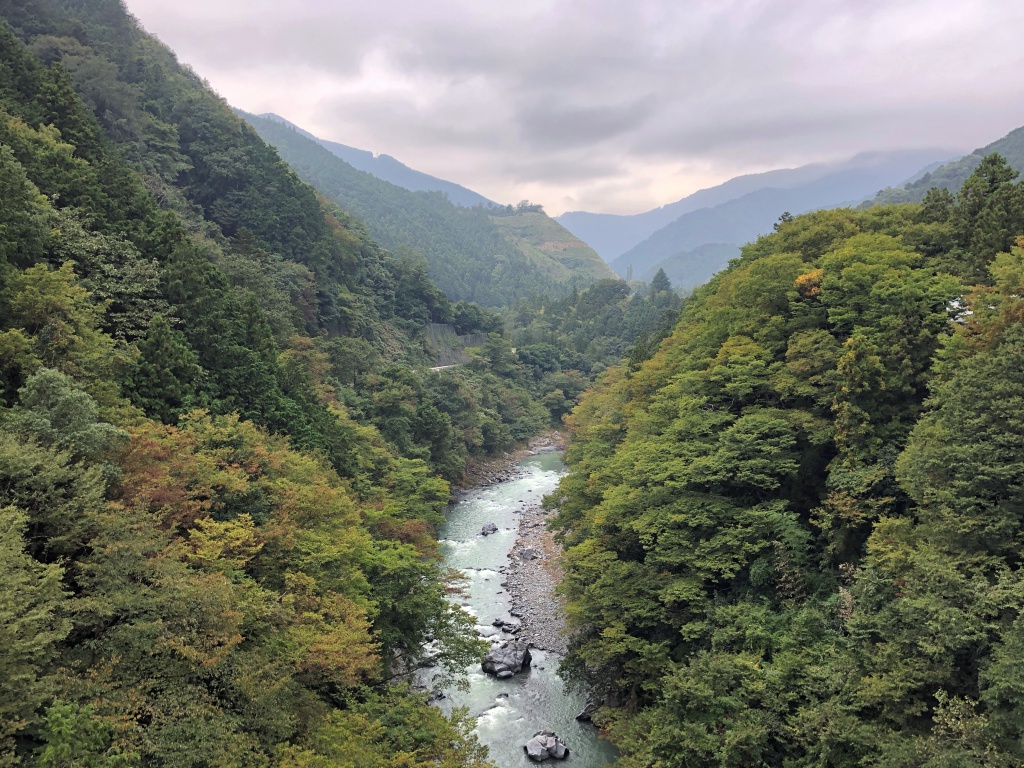 f:id:miwa3k:20181017112529j:plain