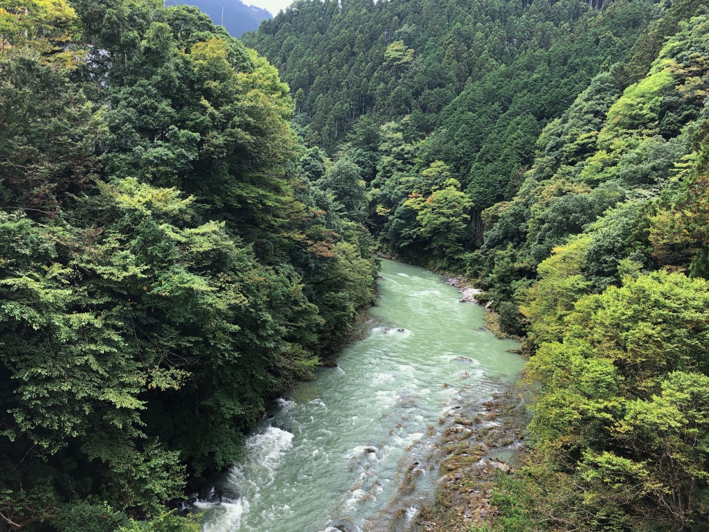 f:id:miwa3k:20181019130848j:plain