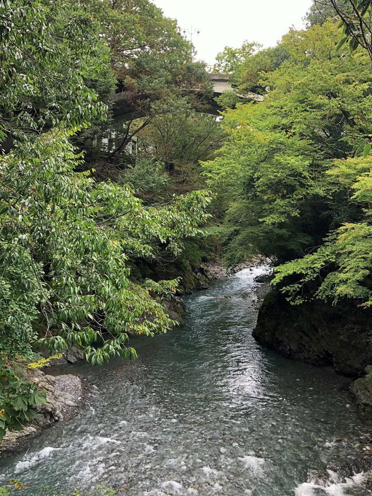 f:id:miwa3k:20181019130856j:plain
