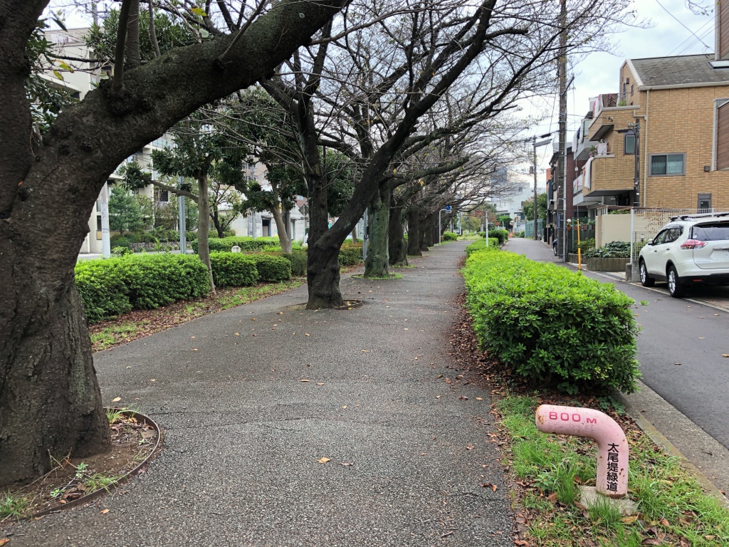 f:id:miwa3k:20181026194552j:plain
