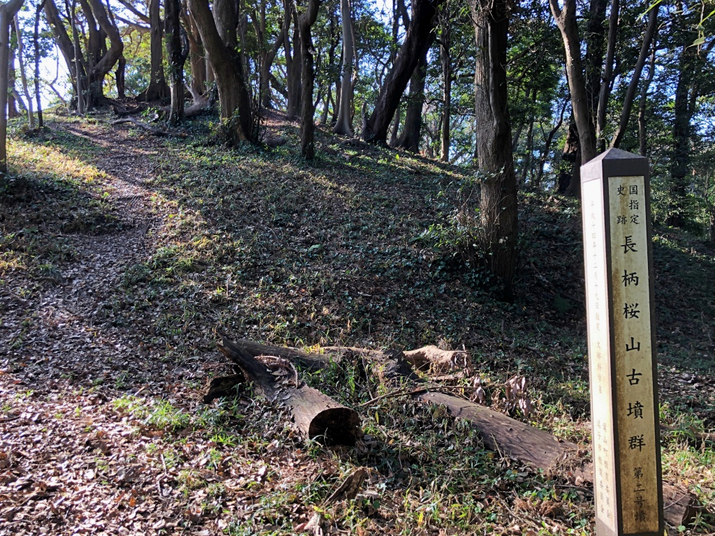 f:id:miwa3k:20181204172931j:plain