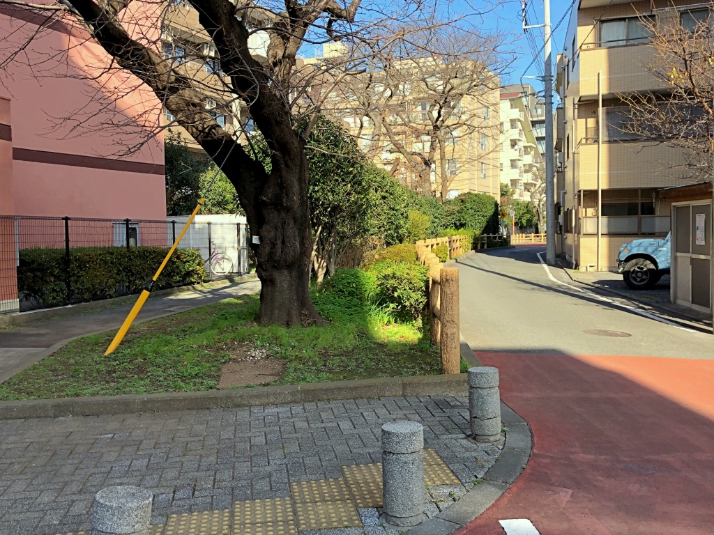 f:id:miwa3k:20181231102040j:plain