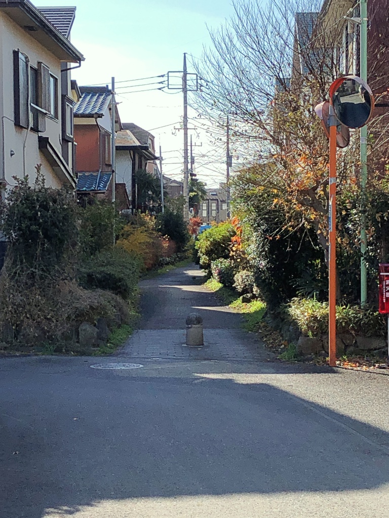 f:id:miwa3k:20181231102048j:plain