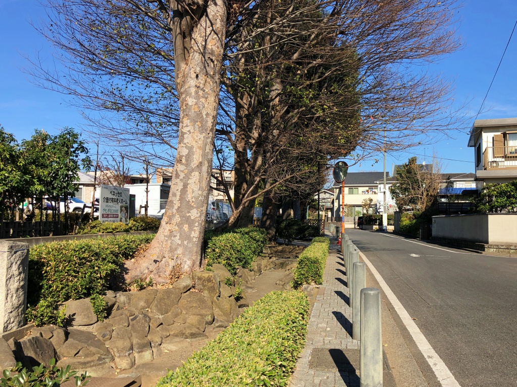 f:id:miwa3k:20181231102049j:plain
