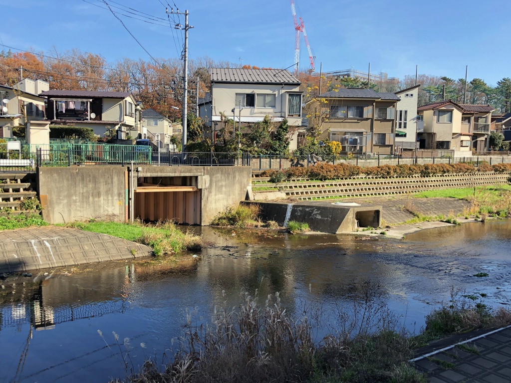 f:id:miwa3k:20181231102054j:plain