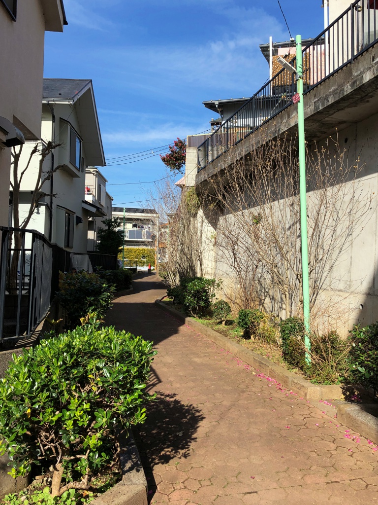 f:id:miwa3k:20181231102106j:plain