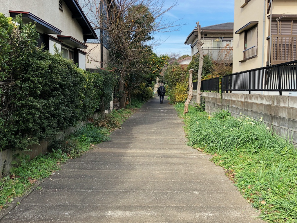 f:id:miwa3k:20181231102110j:plain