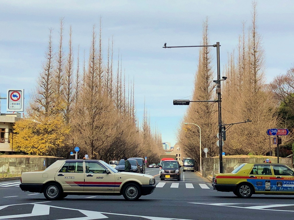f:id:miwa3k:20190105164358j:plain