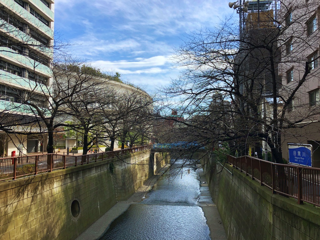 f:id:miwa3k:20190105164406j:plain