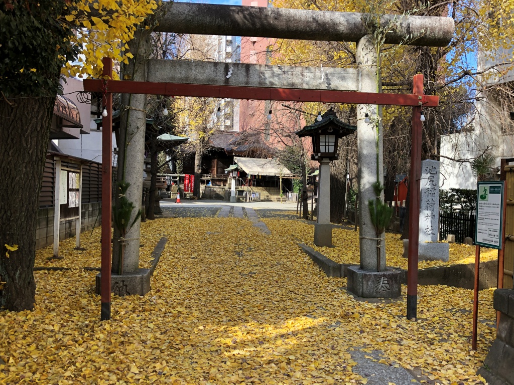 f:id:miwa3k:20190105164407j:plain