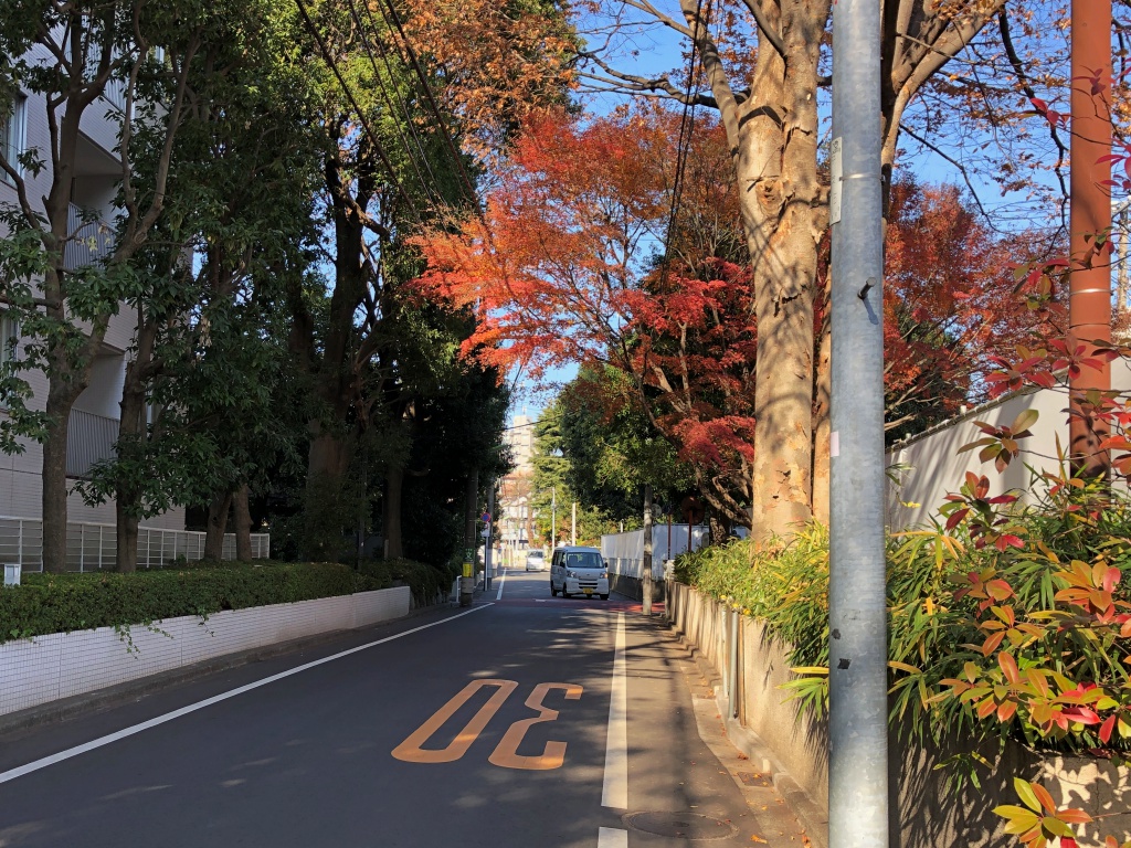 f:id:miwa3k:20190105164416j:plain