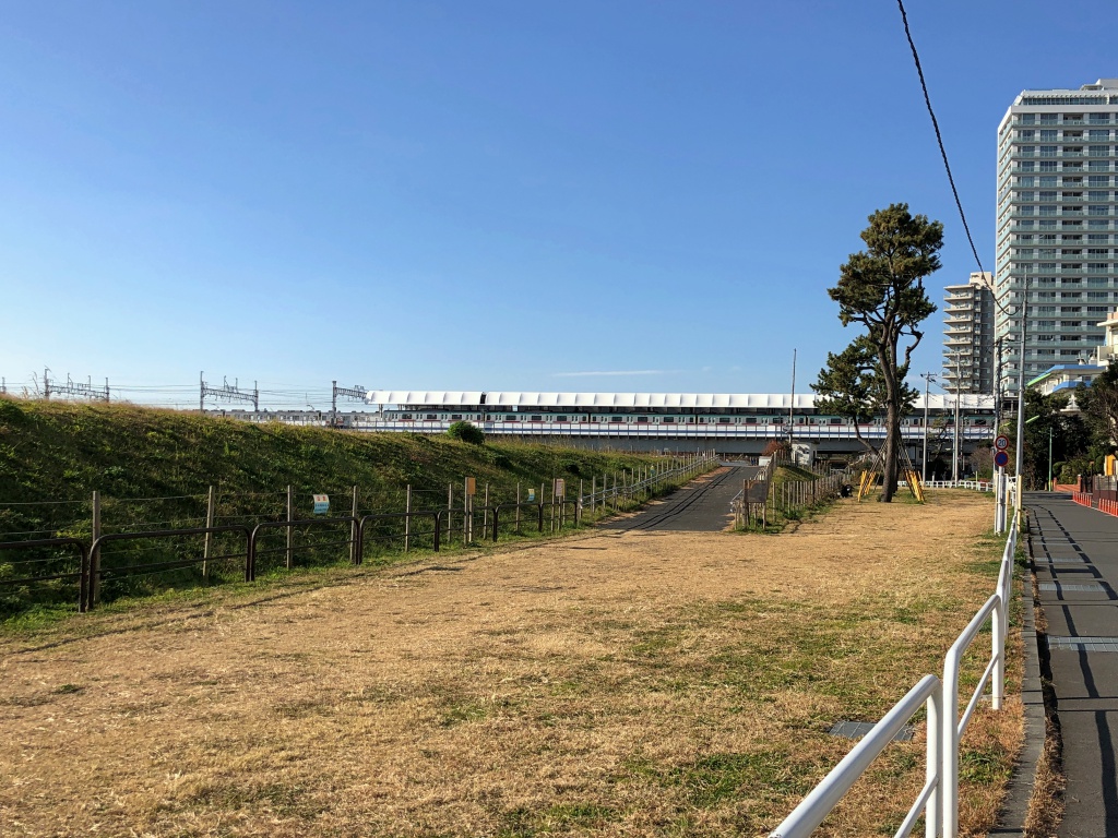 f:id:miwa3k:20190105164422j:plain