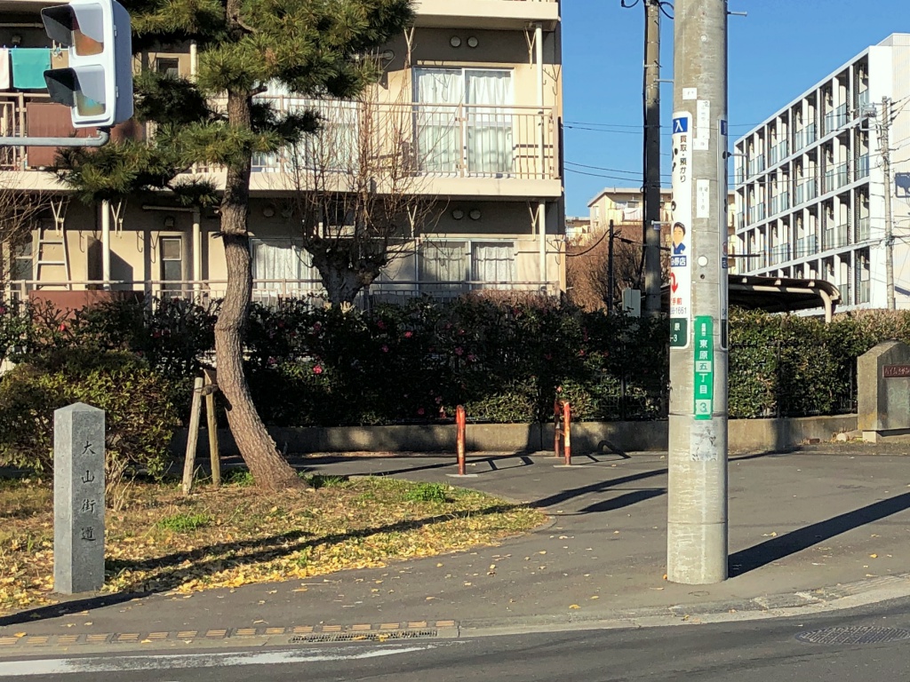 f:id:miwa3k:20190112141337j:plain