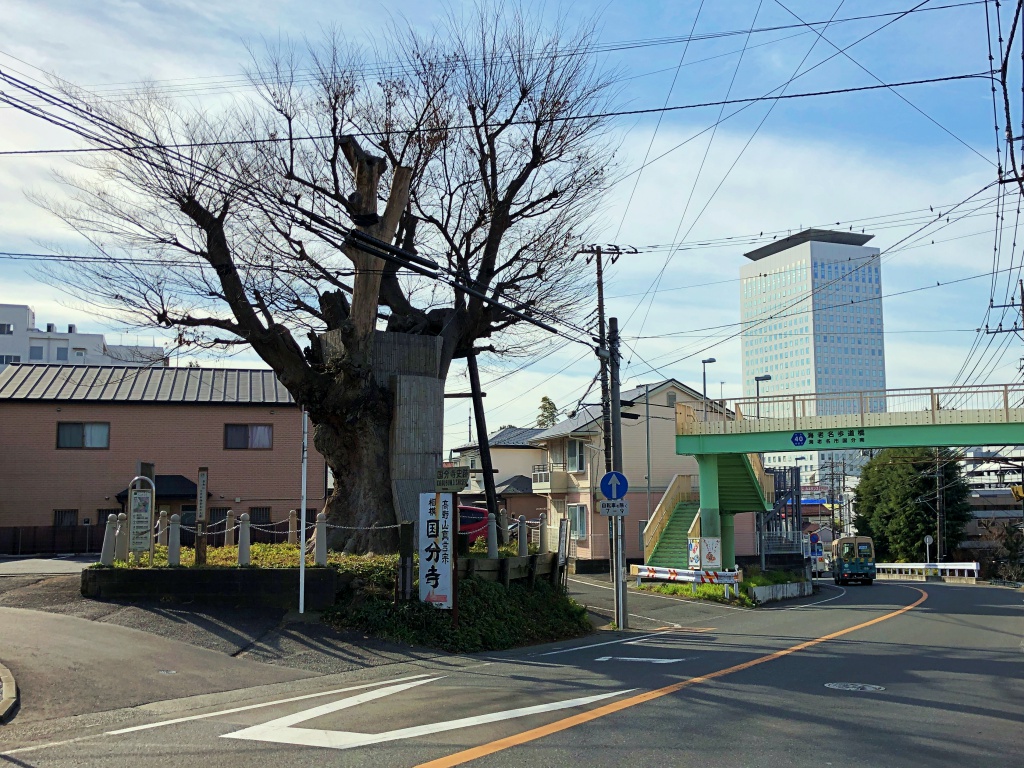 f:id:miwa3k:20190112141346j:plain