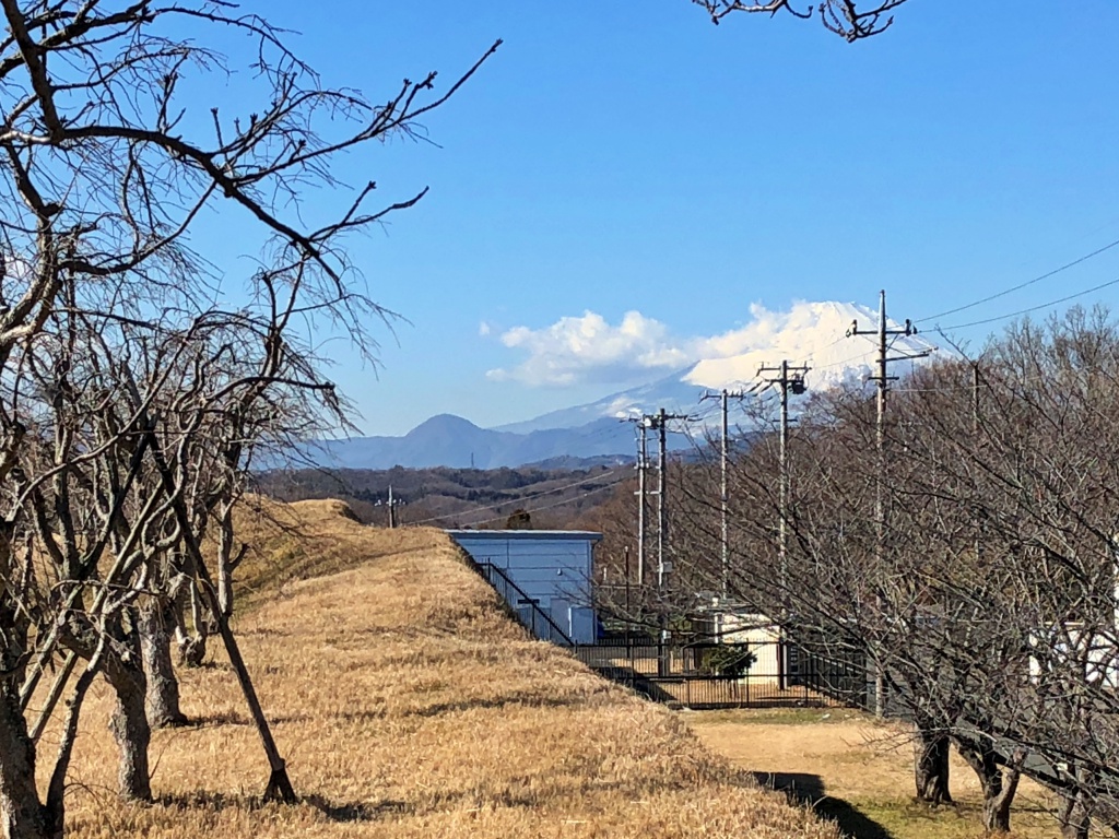 f:id:miwa3k:20190122172420j:plain