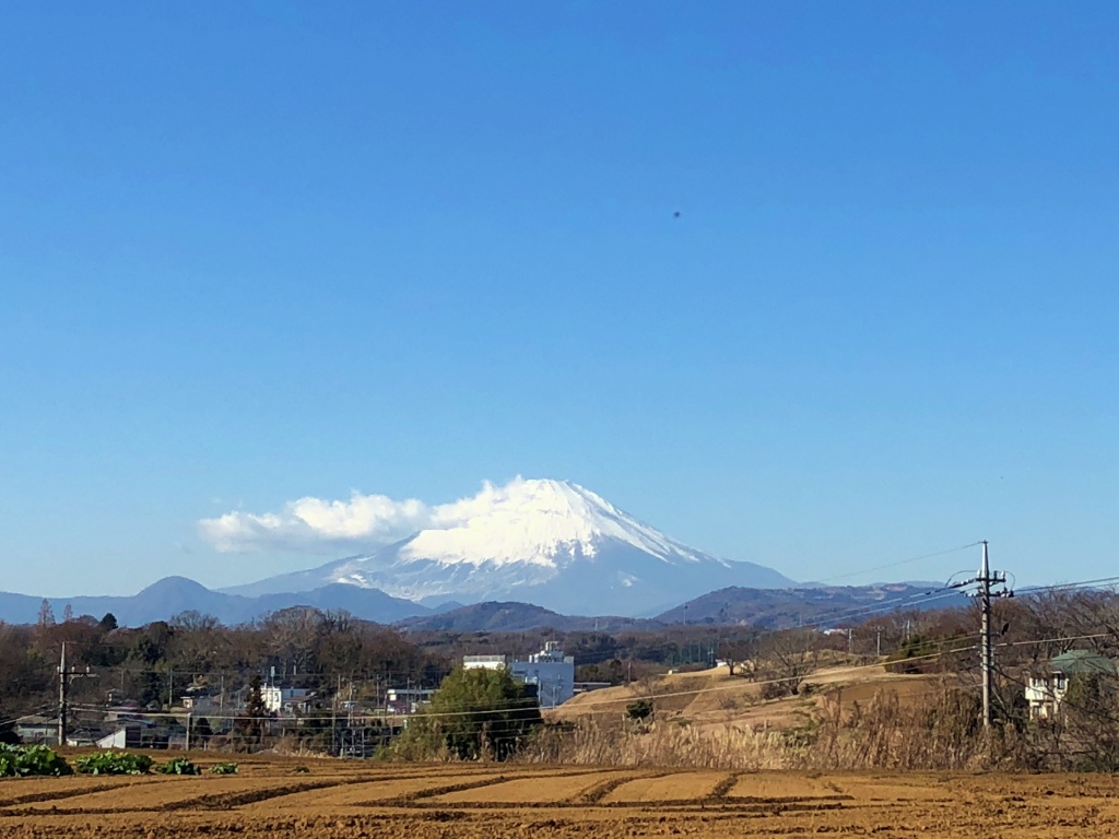 f:id:miwa3k:20190122172421j:plain
