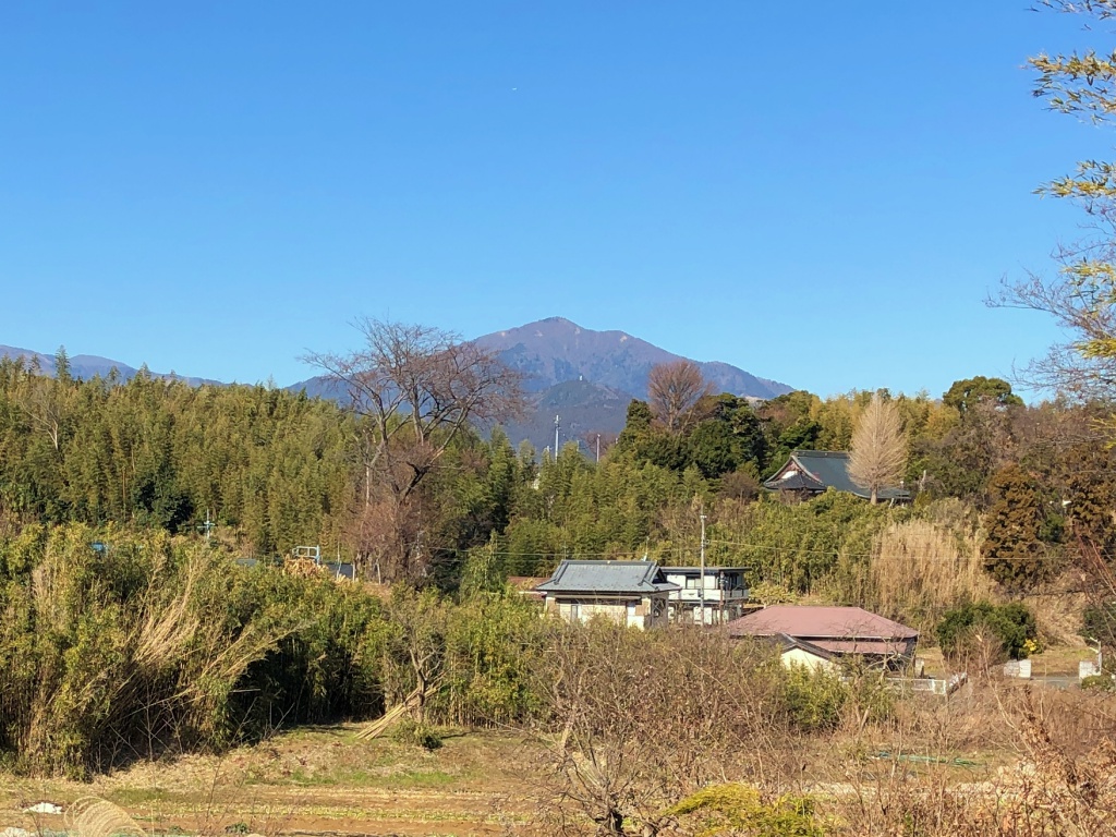 f:id:miwa3k:20190122172422j:plain