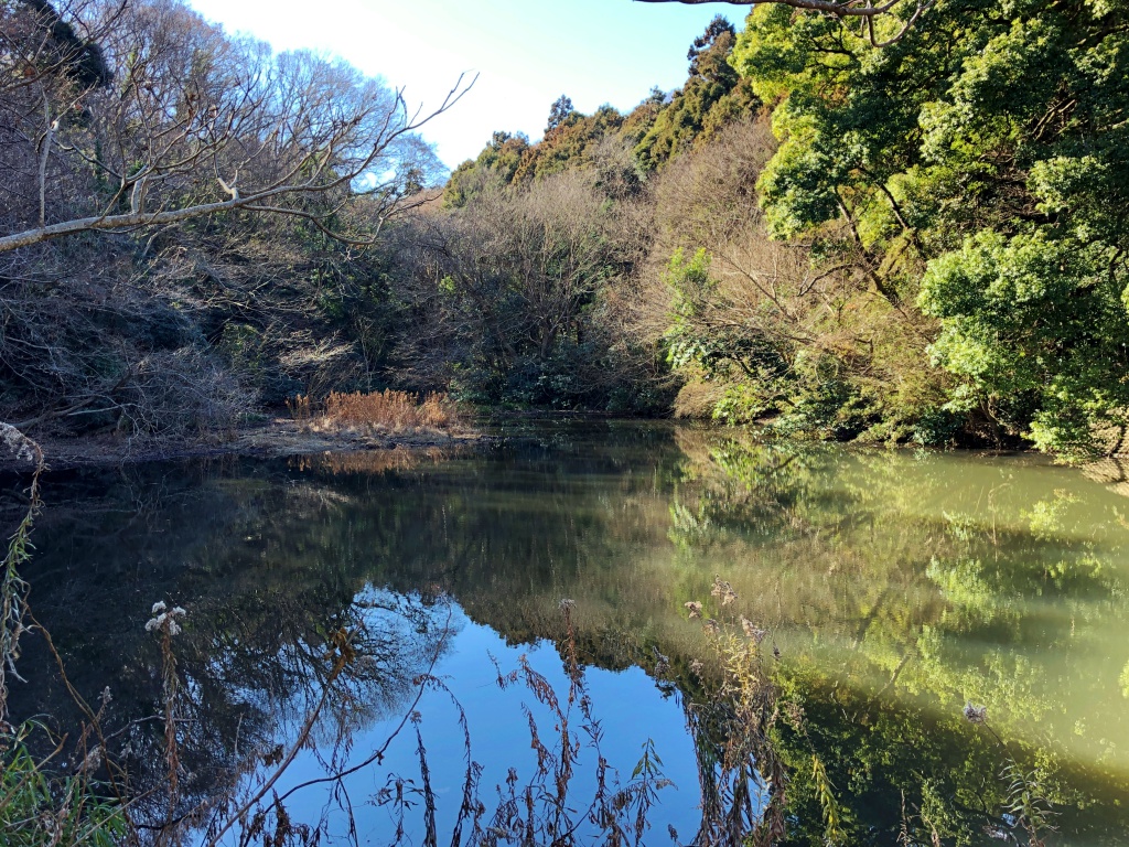 f:id:miwa3k:20190122172424j:plain