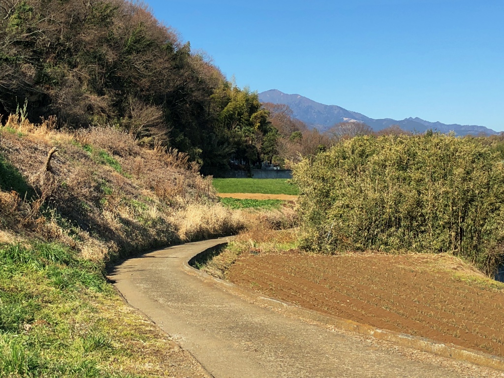 f:id:miwa3k:20190122172432j:plain